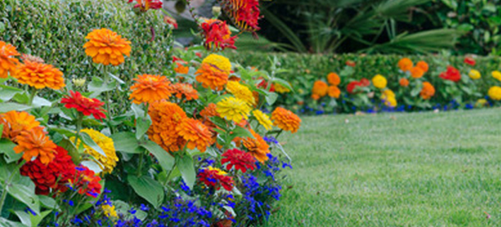 Flower Garden Ideas 