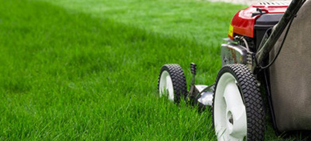 Lawn Care Company Osceola, IA